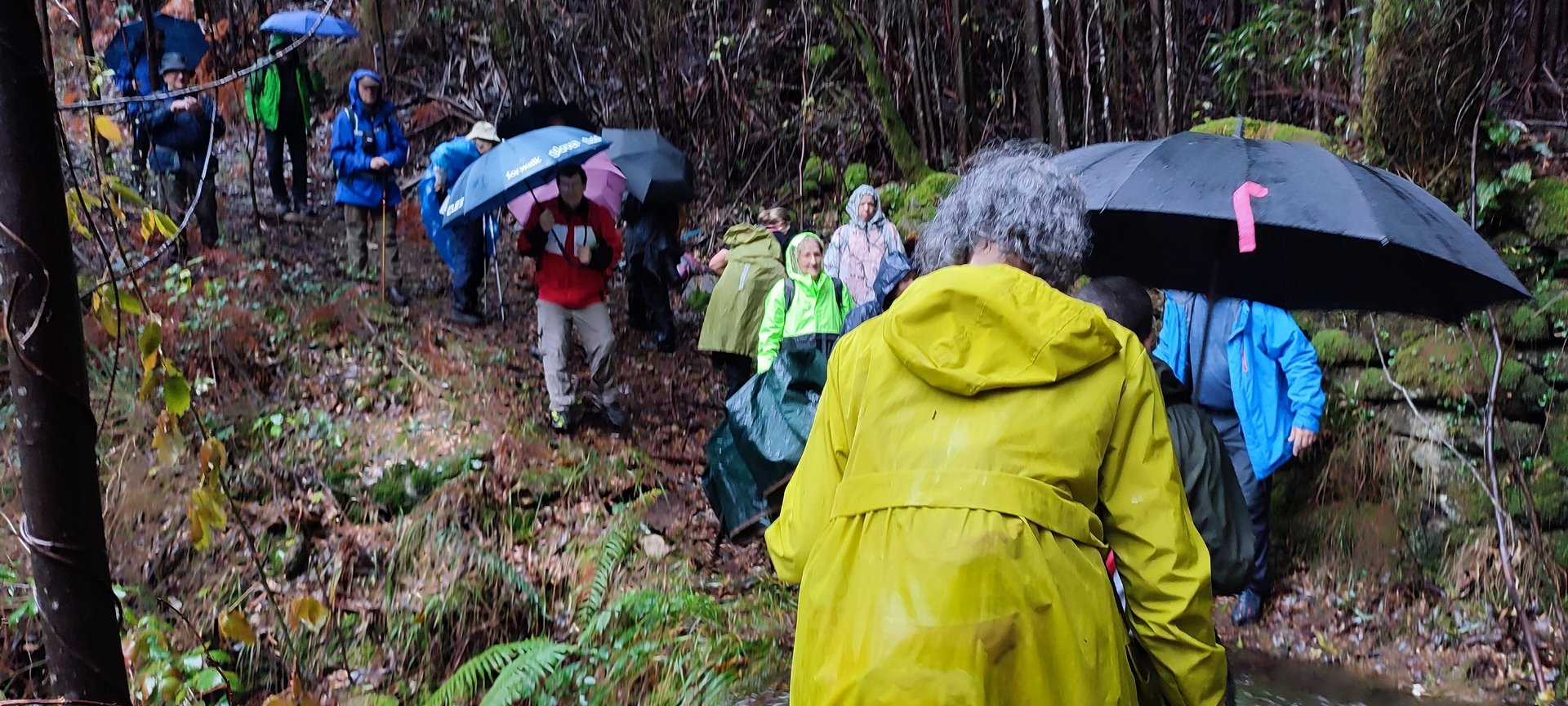 Foto do grupo Vianatrilhos