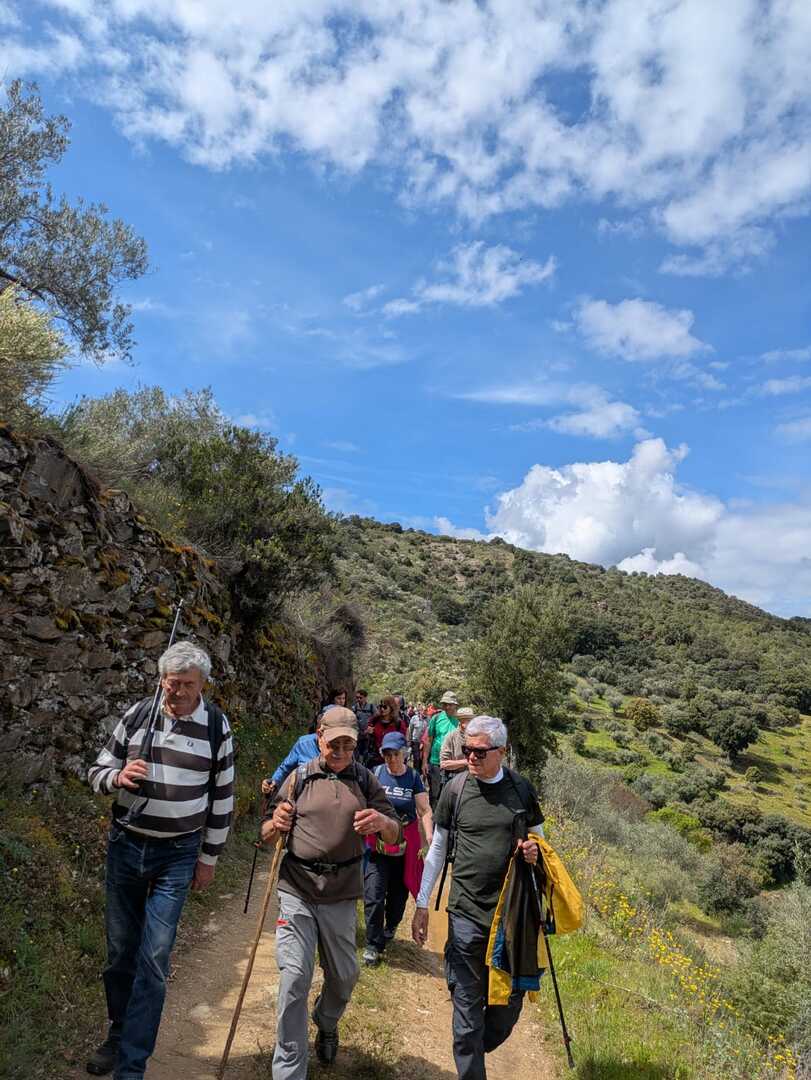 Foto do grupo Vianatrilhos