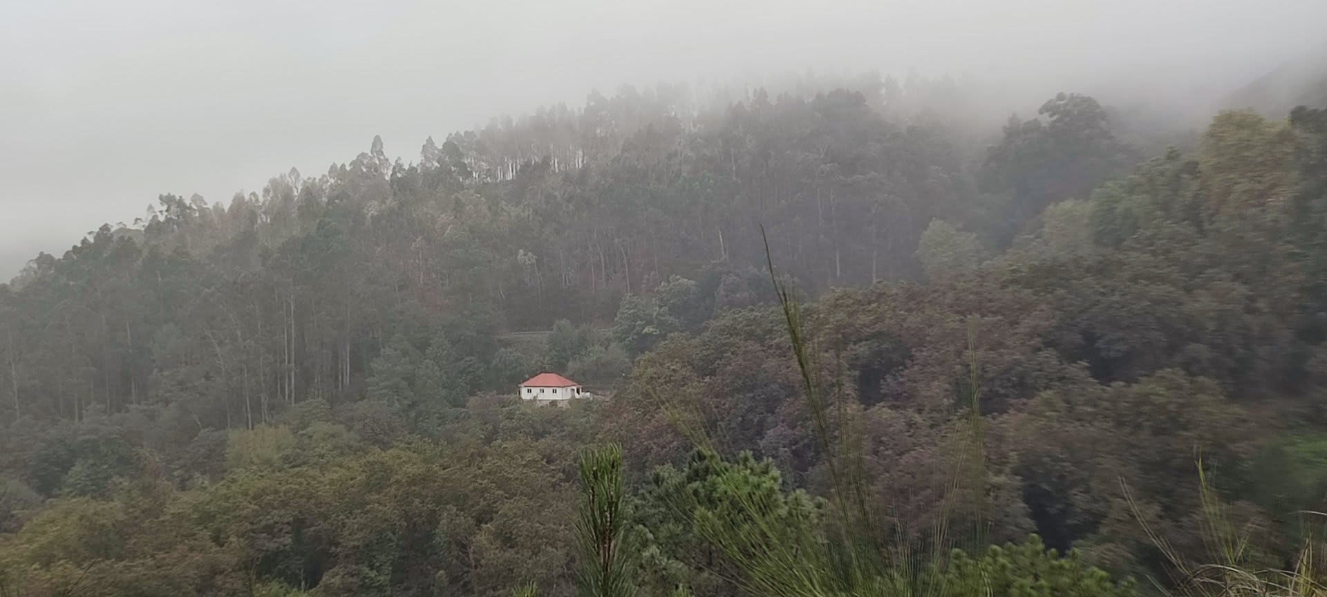 Foto 86 da atividade Galeria de Fotos