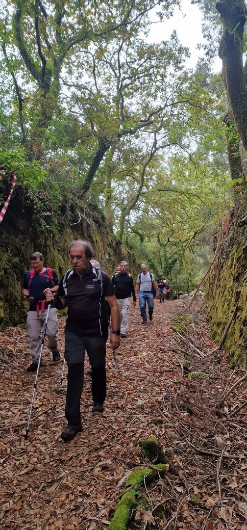 Foto 52 da atividade Galeria de Fotos