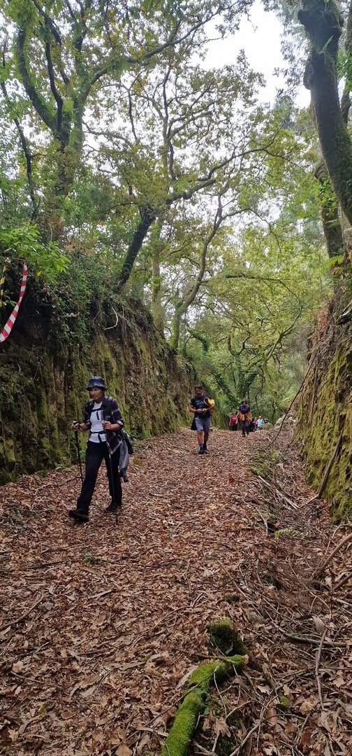 Foto 50 da atividade Galeria de Fotos