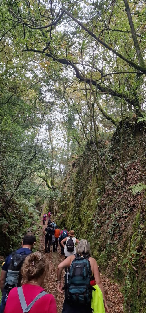 Foto 45 da atividade Galeria de Fotos