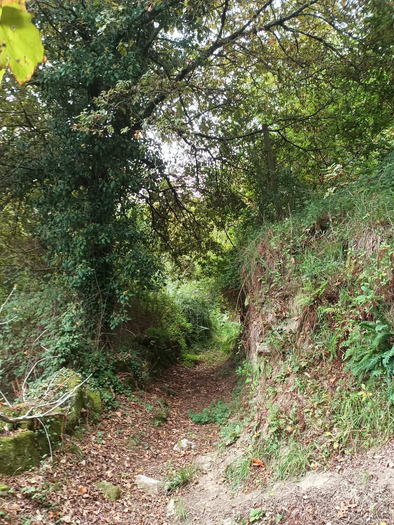 Foto 23 da atividade Galeria de Fotos