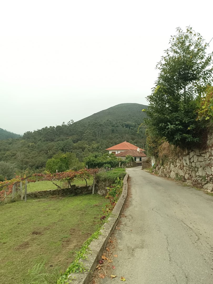 Foto 18 da atividade Galeria de Fotos