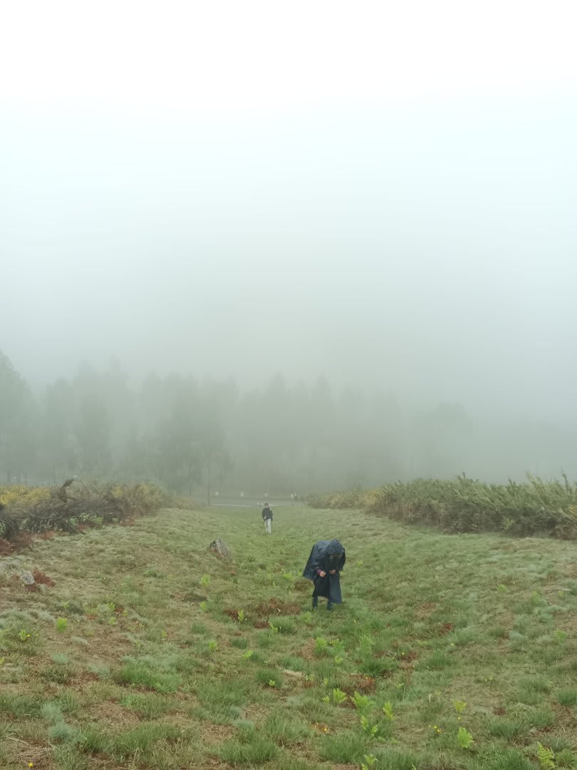 Foto 11 da atividade Galeria de Fotos