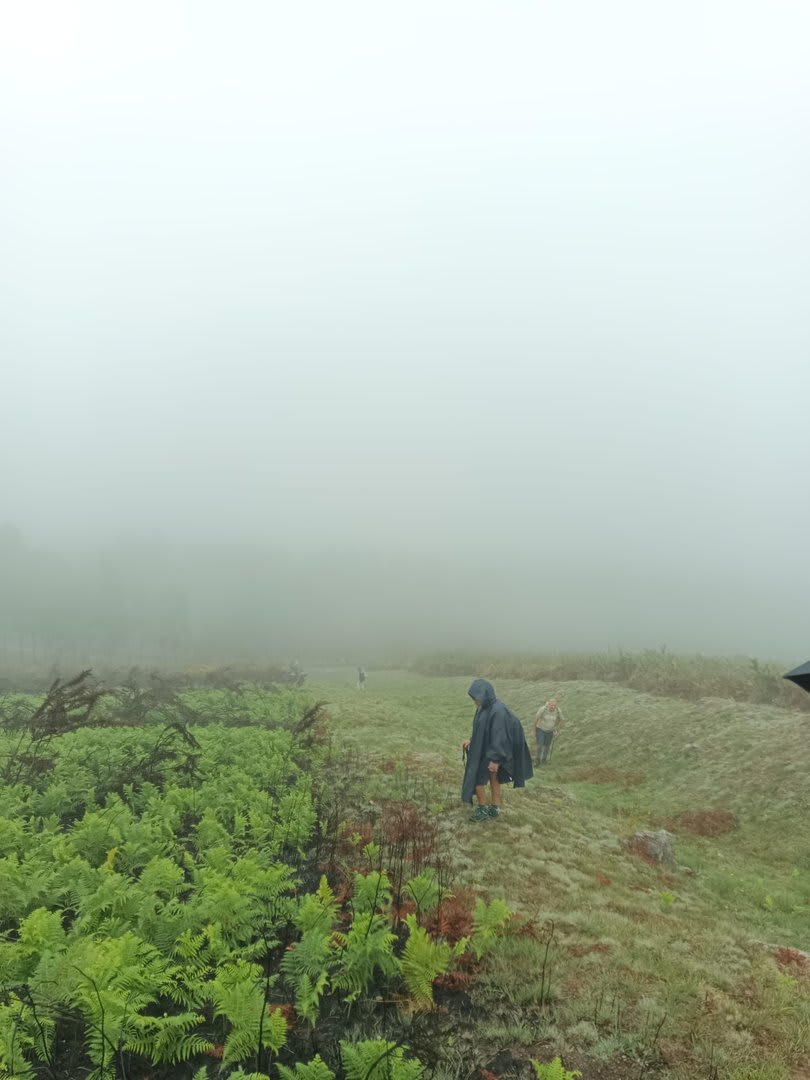 Foto 10 da atividade Galeria de Fotos