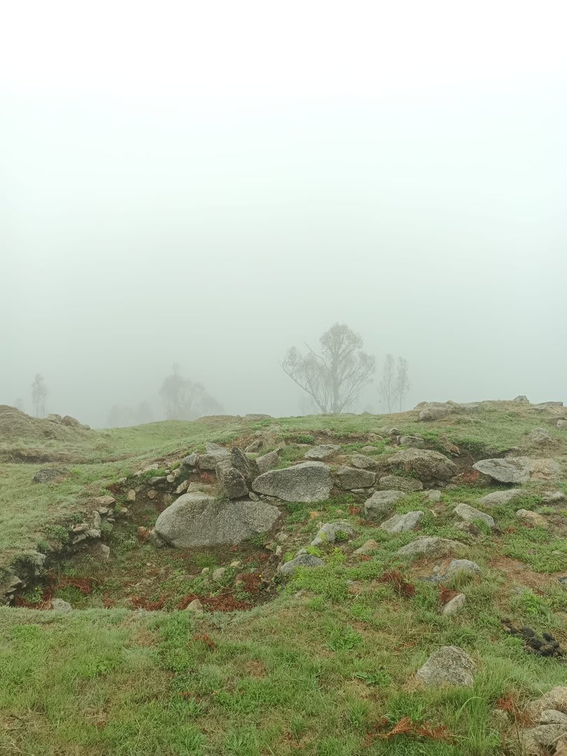 Foto 8 da atividade Galeria de Fotos