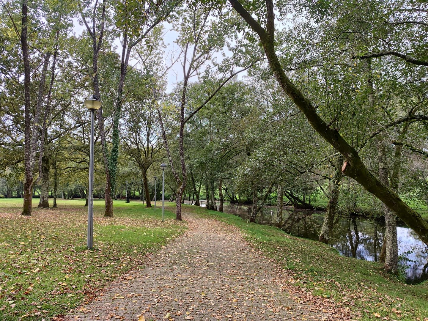 Foto 49 da atividade Galeria de Fotos