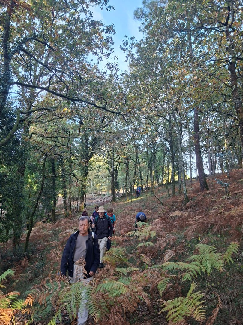 Foto 48 da atividade Galeria de Fotos