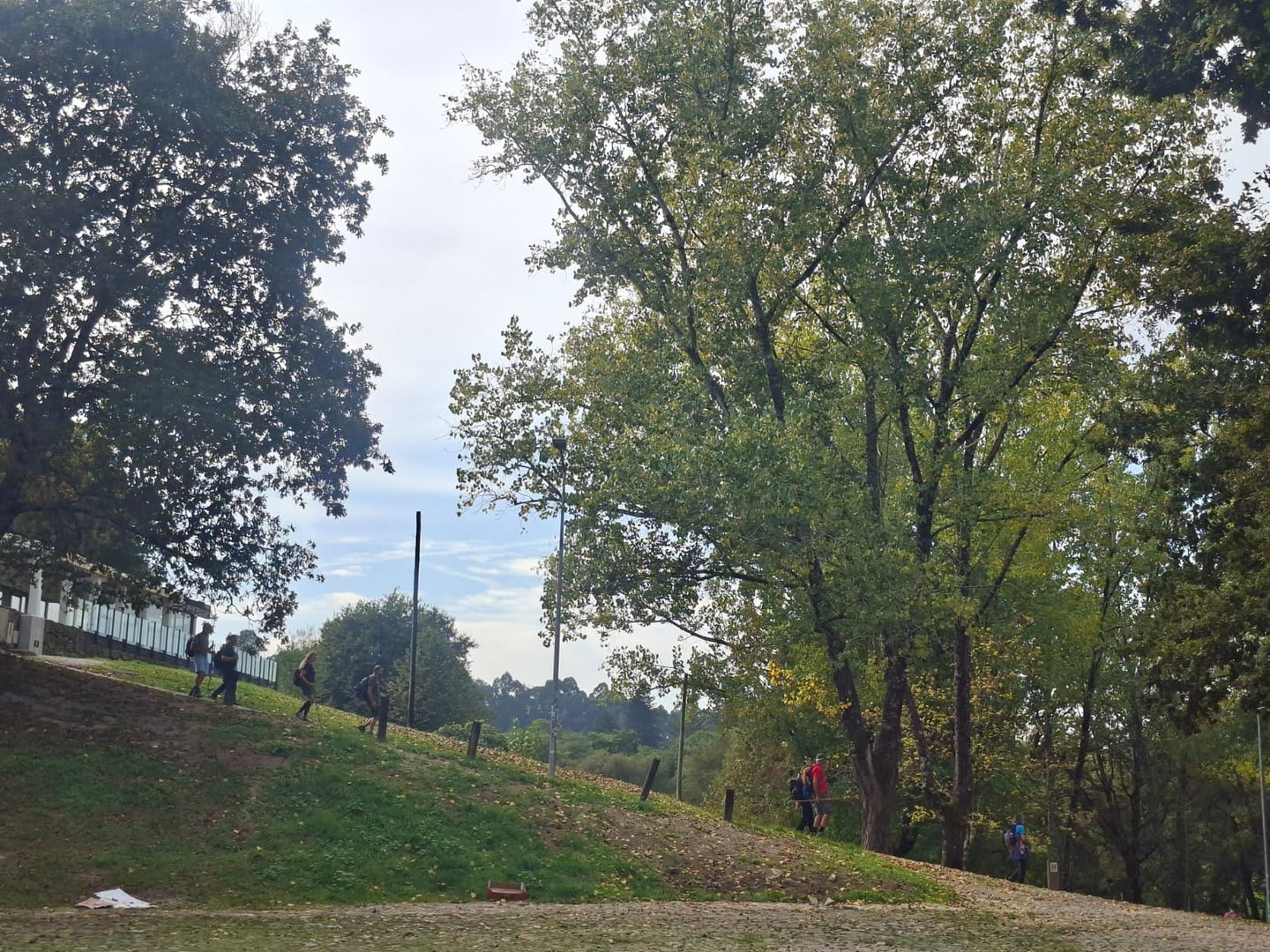 Foto 44 da atividade Galeria de Fotos