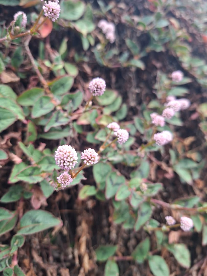 Foto 42 da atividade Galeria de Fotos