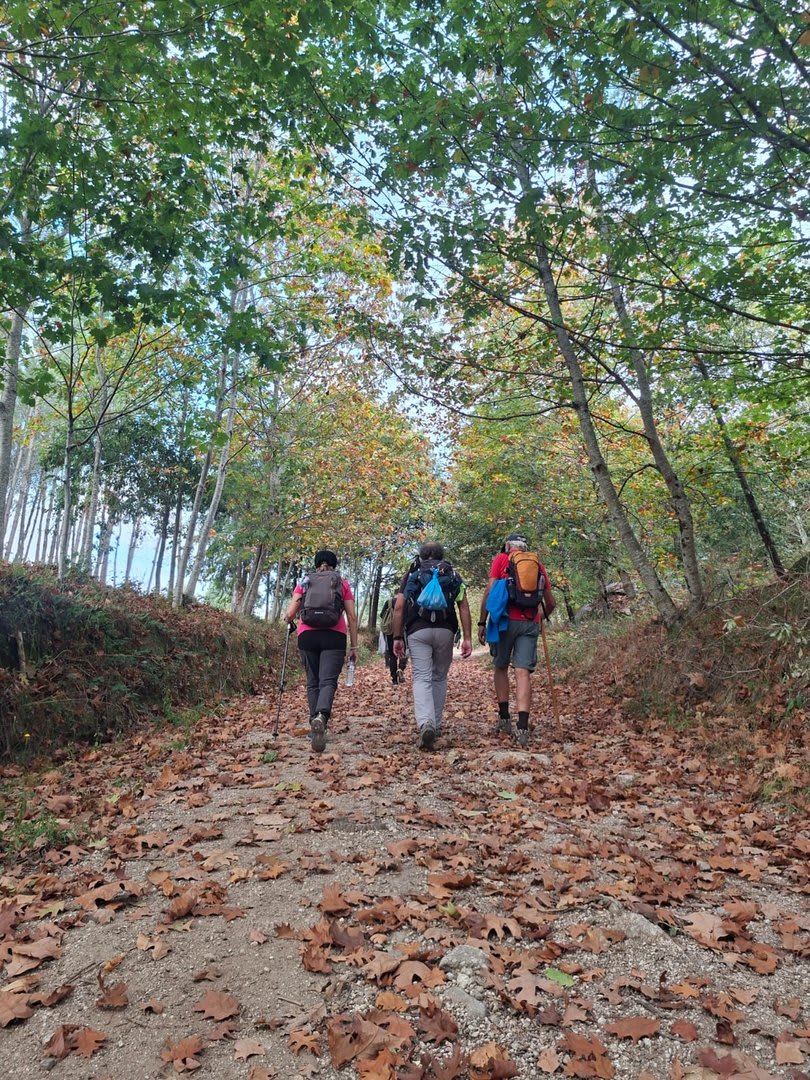 Foto 41 da atividade Galeria de Fotos