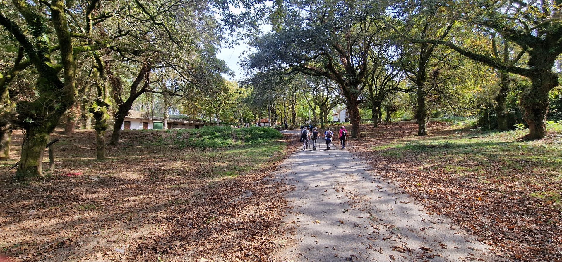 Foto 38 da atividade Galeria de Fotos