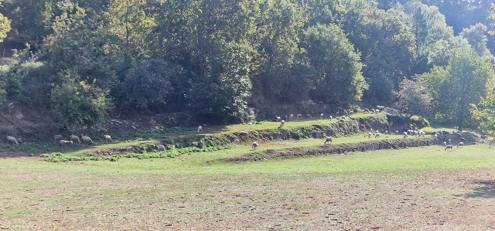 Foto 36 da atividade Galeria de Fotos