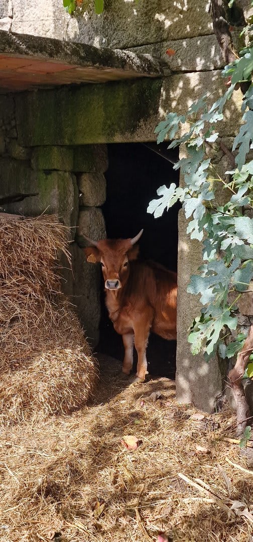 Foto 35 da atividade Galeria de Fotos