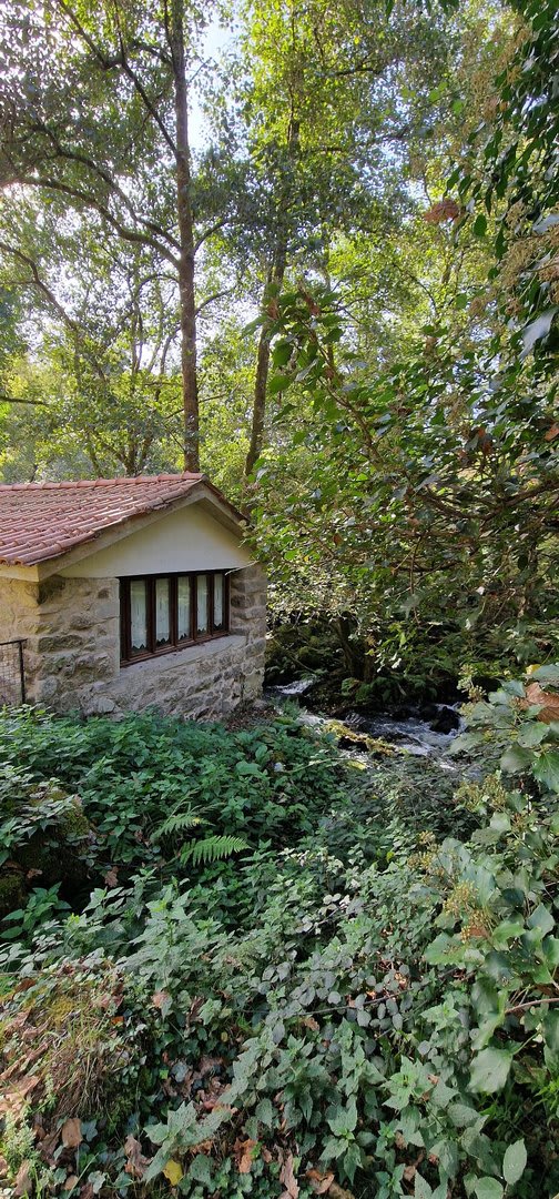 Foto 33 da atividade Galeria de Fotos