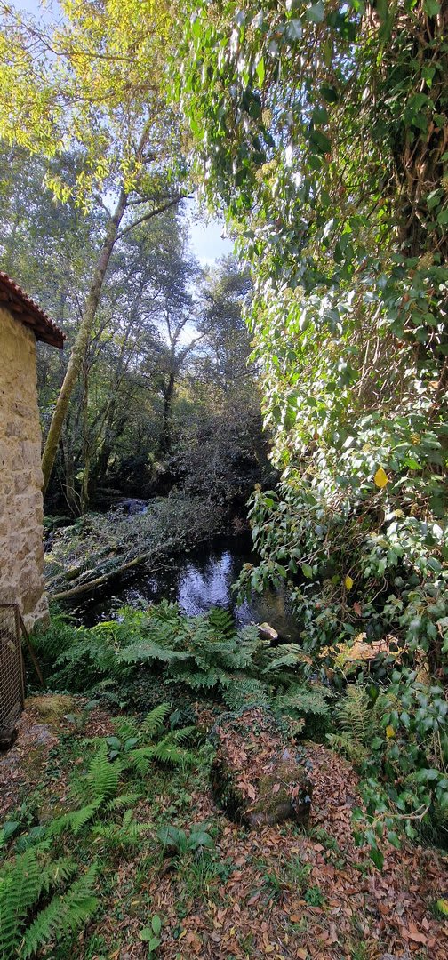 Foto 32 da atividade Galeria de Fotos