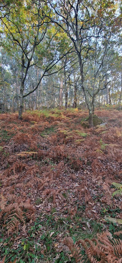 Foto 28 da atividade Galeria de Fotos