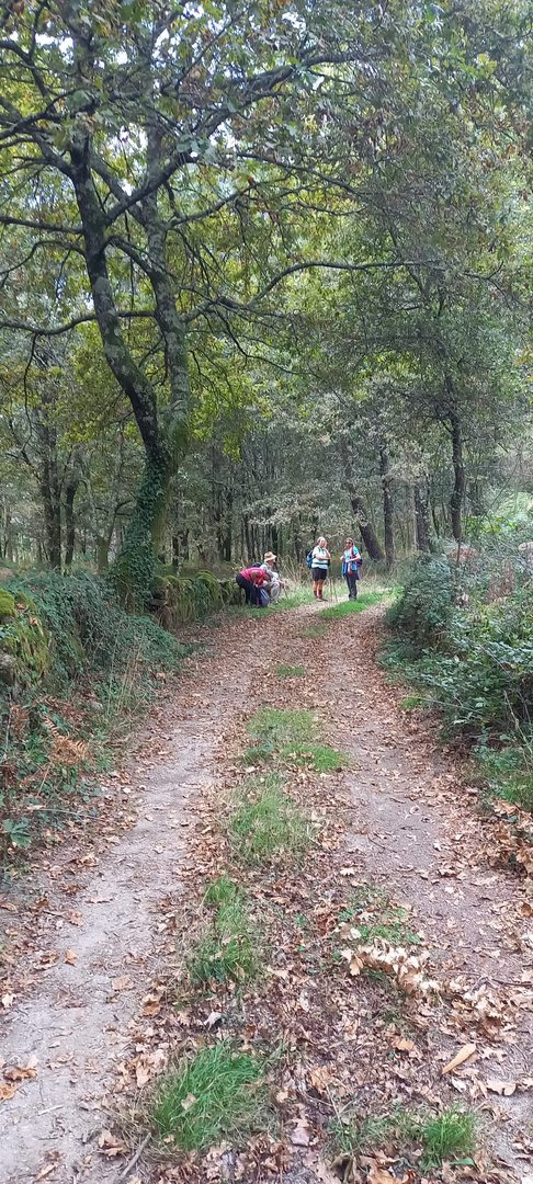 Foto 25 da atividade Galeria de Fotos