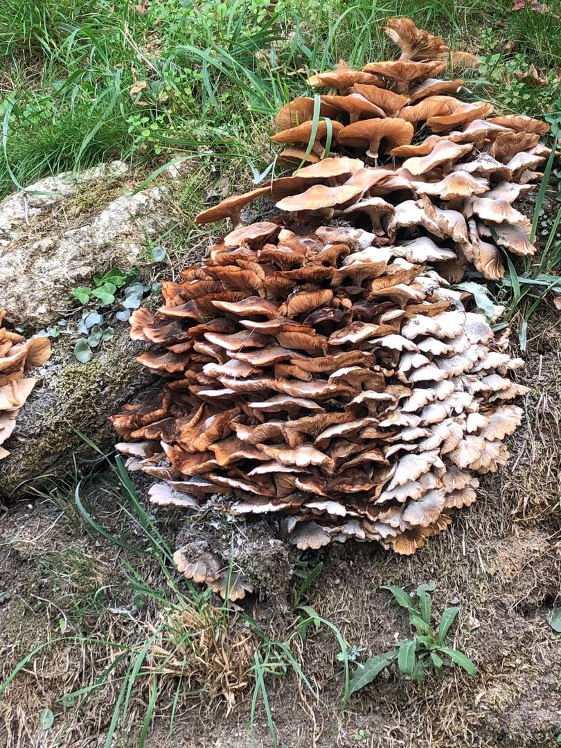 Foto 13 da atividade Galeria de Fotos