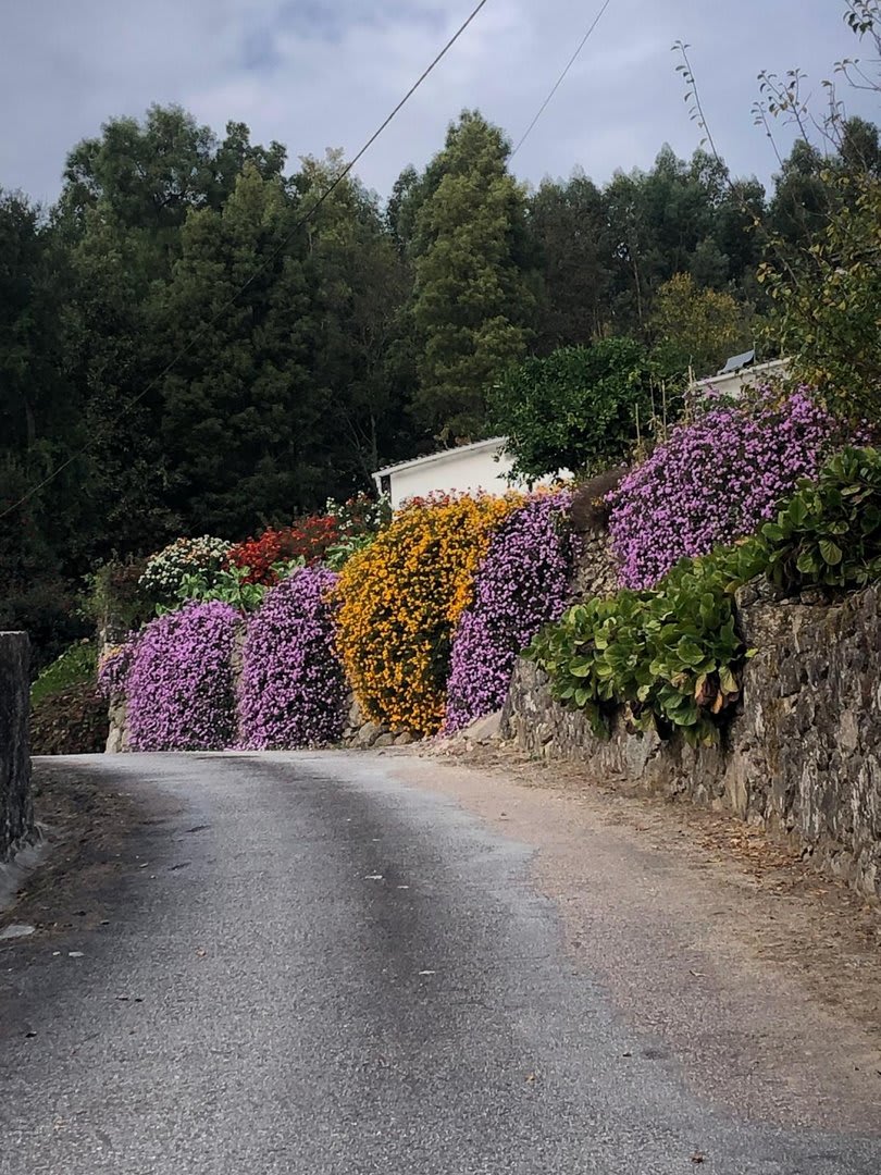 Foto 12 da atividade Galeria de Fotos