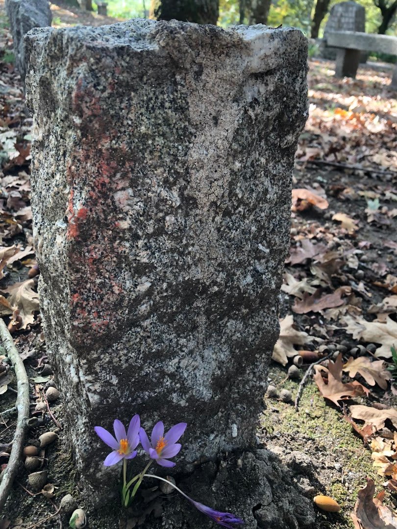 Foto 10 da atividade Galeria de Fotos