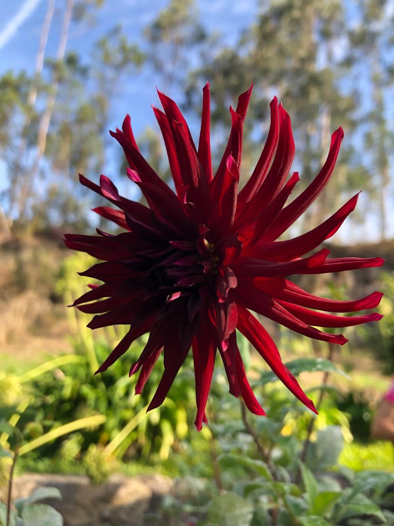 Foto 9 da atividade Galeria de Fotos