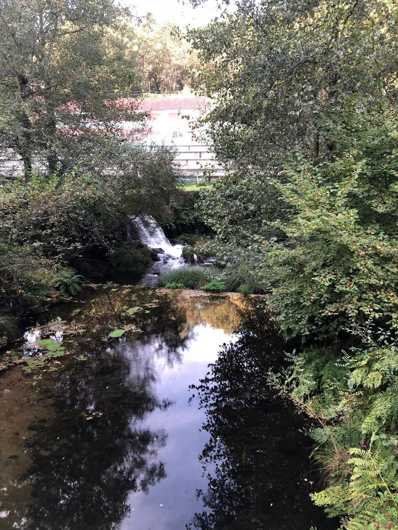 Foto 5 da atividade Galeria de Fotos