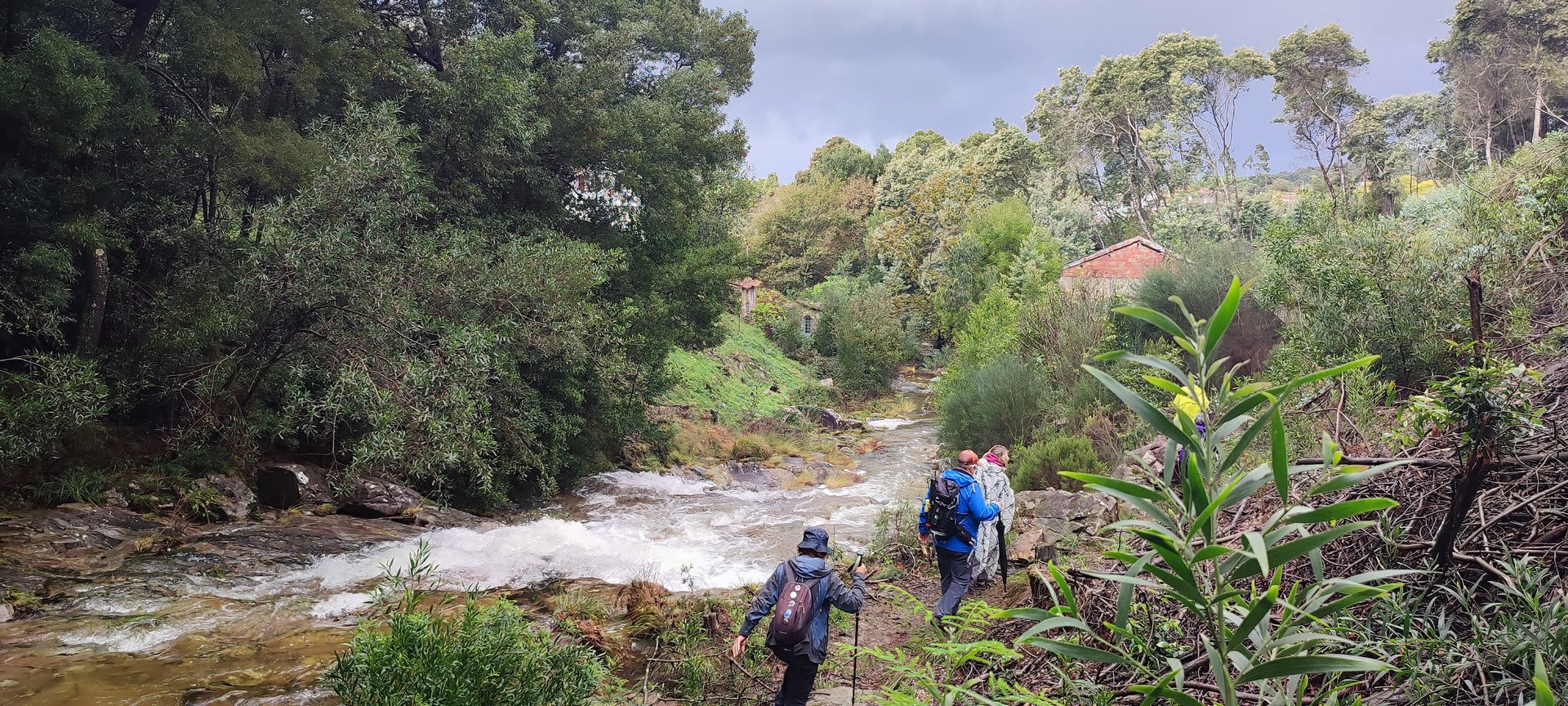 Foto 46 da atividade Galeria de Fotos