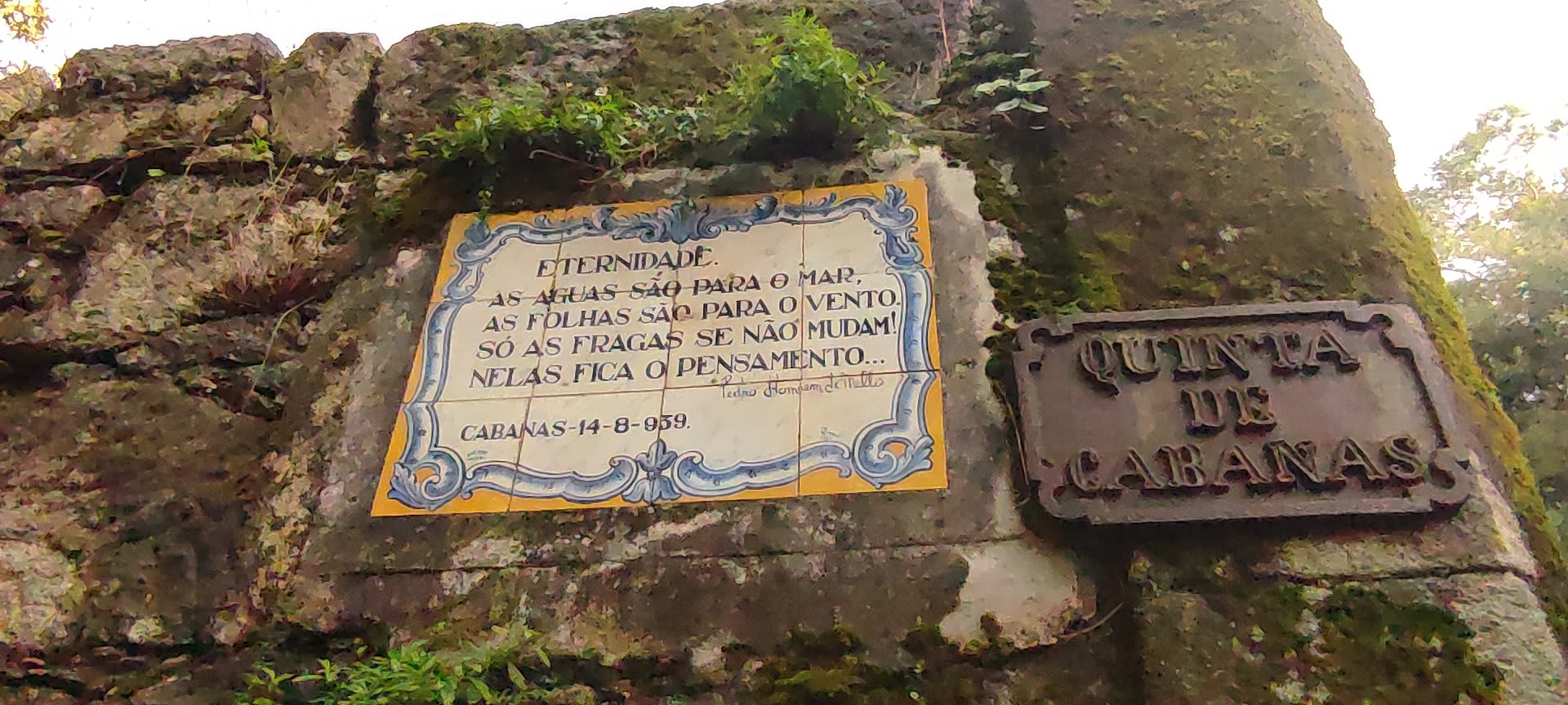 Foto 41 da atividade Galeria de Fotos