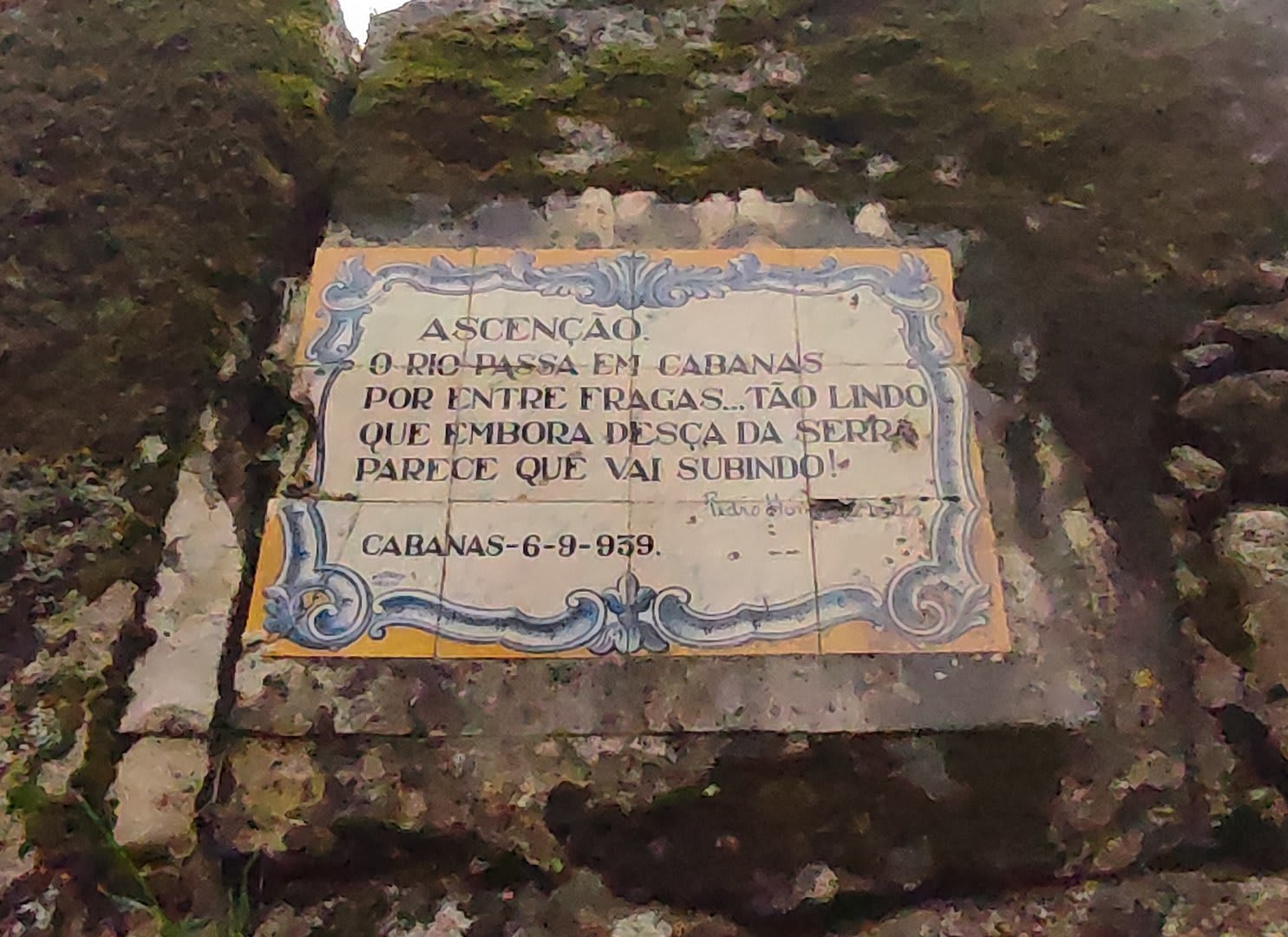 Foto 40 da atividade Galeria de Fotos