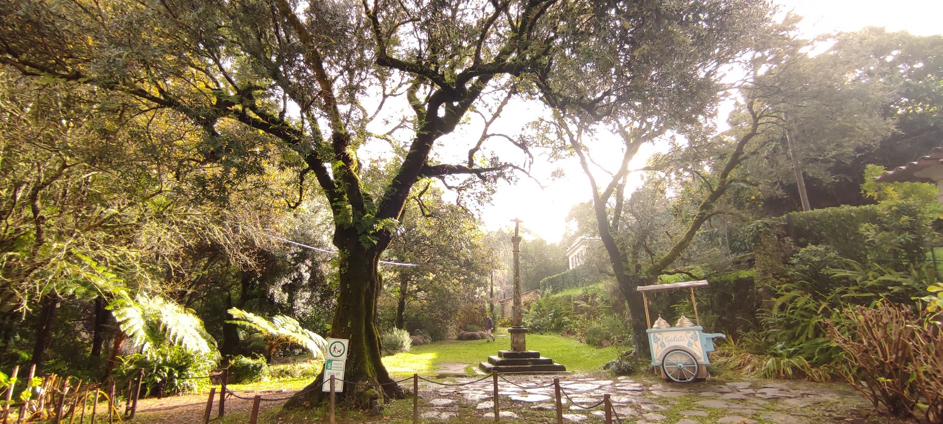 Foto 36 da atividade Galeria de Fotos