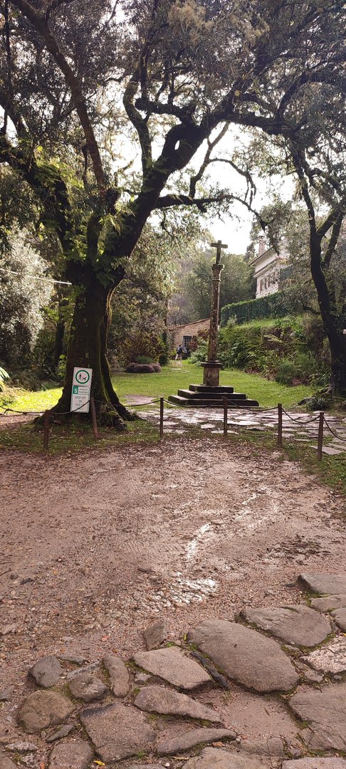 Foto 34 da atividade Galeria de Fotos