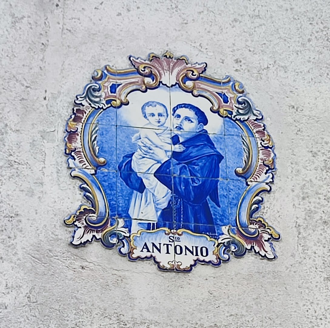 Foto 3 da atividade Galeria de Fotos