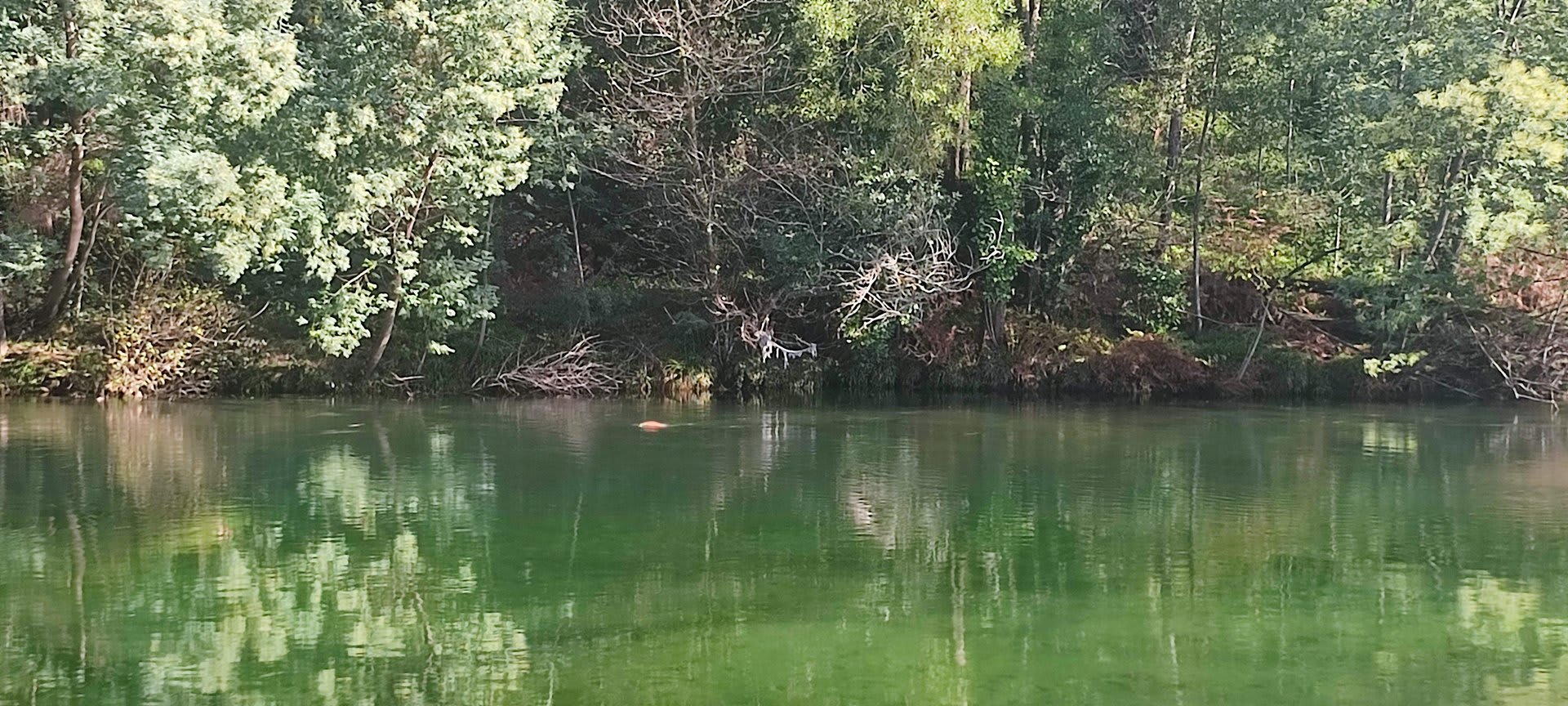 Foto 46 da atividade Galeria de Fotos