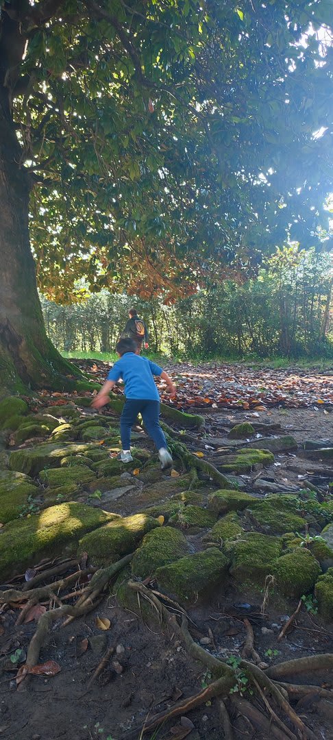 Foto 44 da atividade Galeria de Fotos