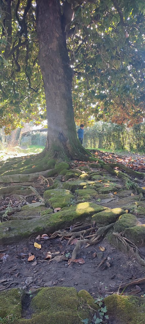 Foto 43 da atividade Galeria de Fotos