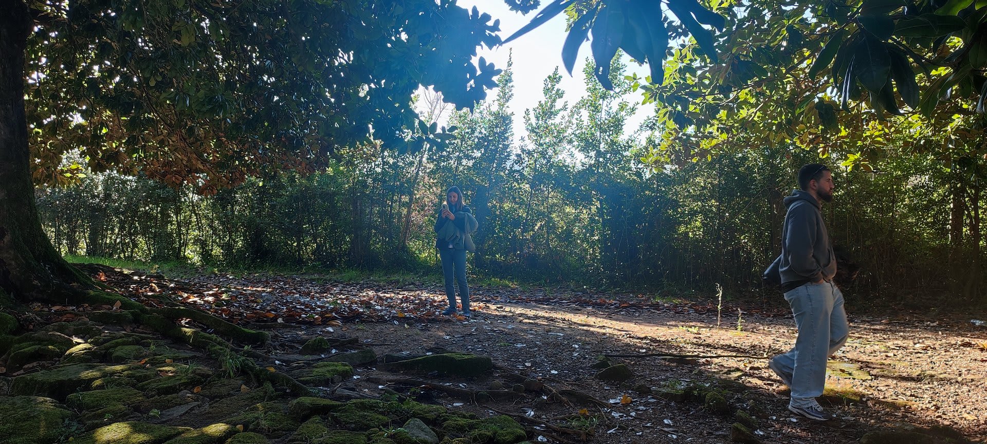 Foto 42 da atividade Galeria de Fotos