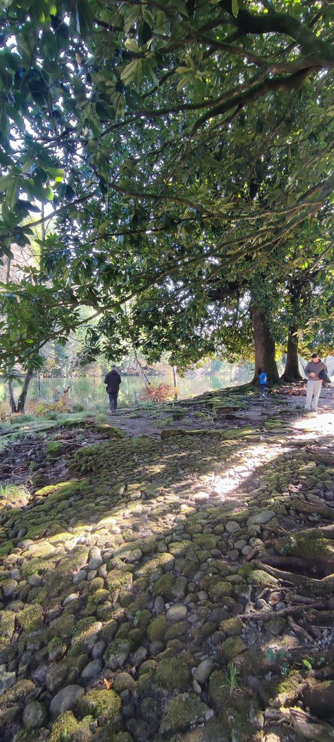 Foto 40 da atividade Galeria de Fotos