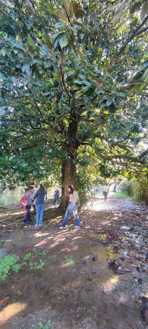 Foto 39 da atividade Galeria de Fotos