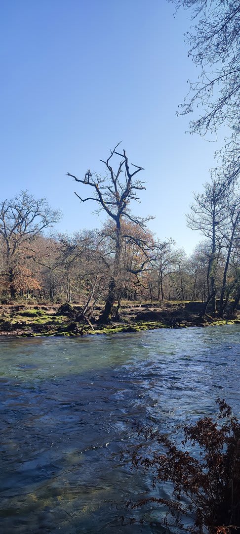 Foto 35 da atividade Galeria de Fotos