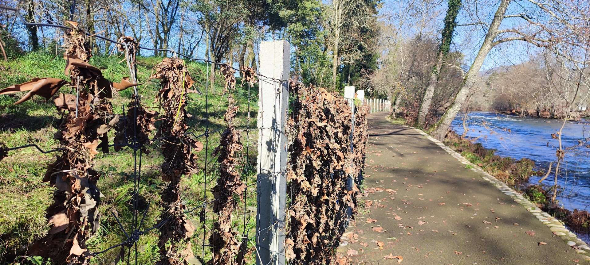 Foto 34 da atividade Galeria de Fotos