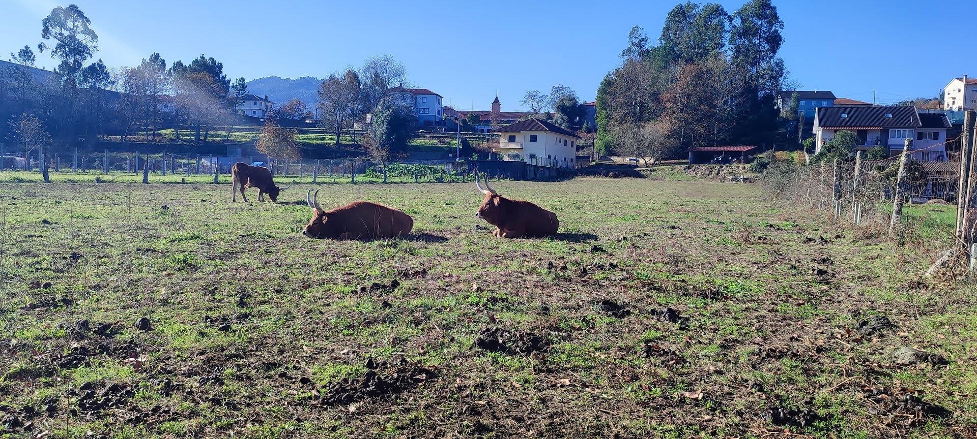 Foto 29 da atividade Galeria de Fotos