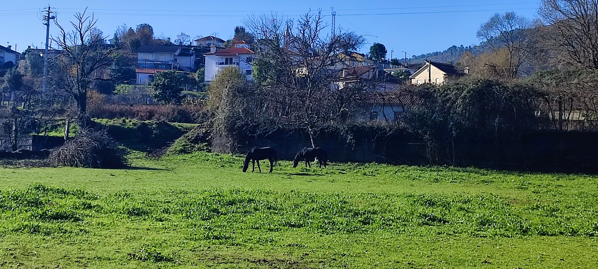 Foto 25 da atividade Galeria de Fotos