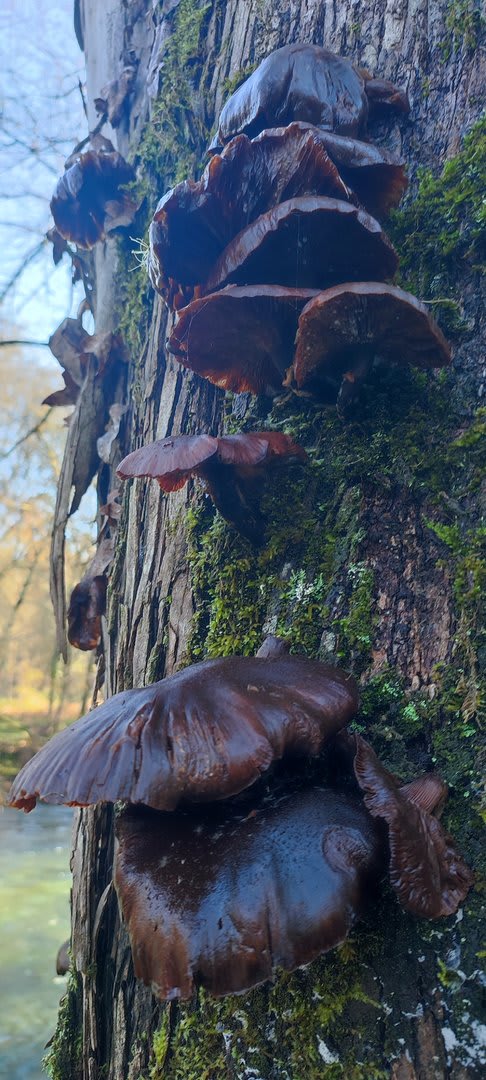 Foto 22 da atividade Galeria de Fotos