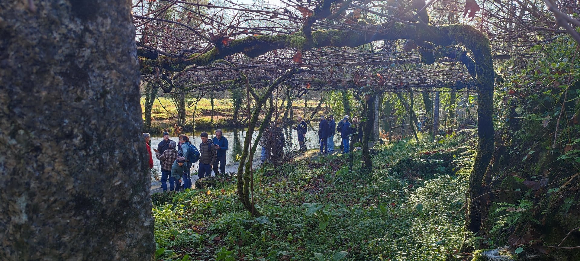 Foto 8 da atividade Galeria de Fotos