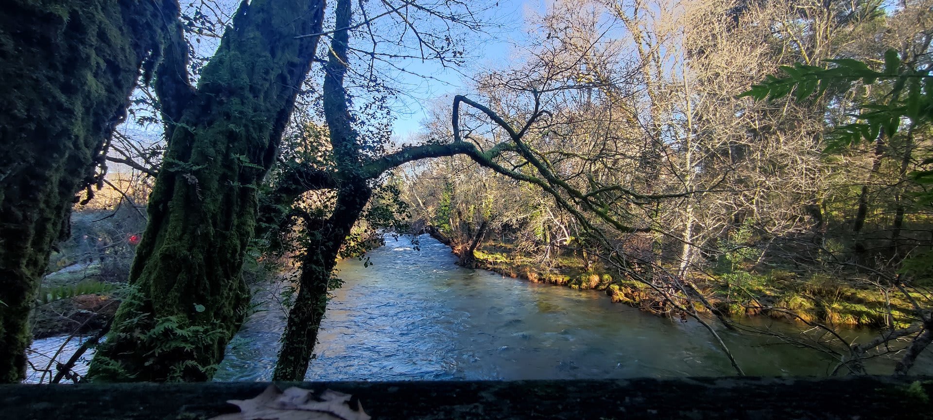 Foto 3 da atividade Galeria de Fotos