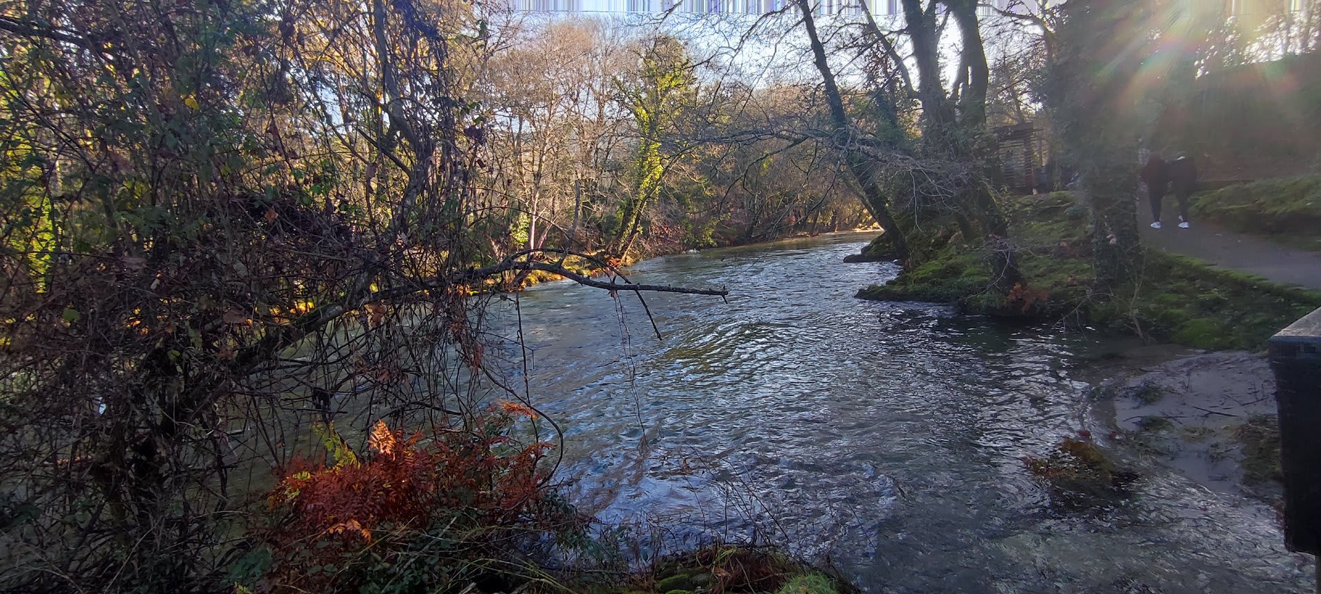 Foto 2 da atividade Galeria de Fotos