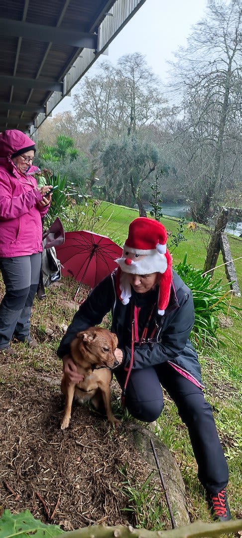 Foto 25 da atividade Galeria de Fotos