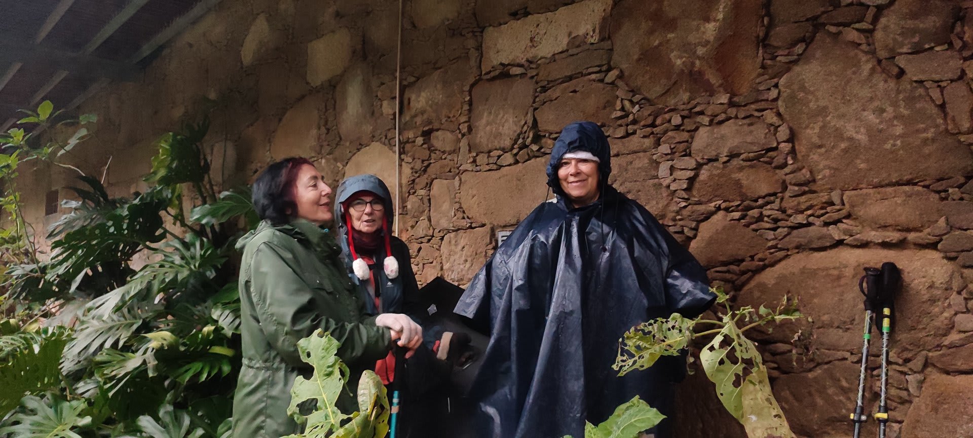 Foto 24 da atividade Galeria de Fotos